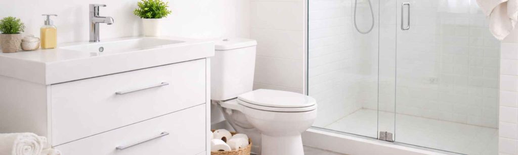 pececillo de plata en el baño