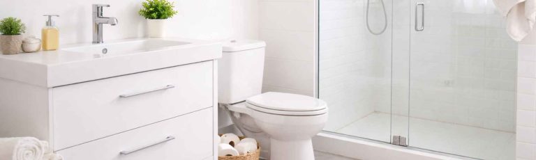 pececillo de plata en el baño