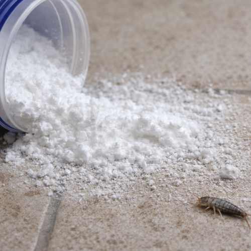 Tierra de diatomeas en polvo para pececillos de plata